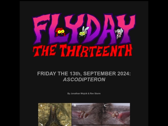 flyday-020-ascodipteron screenshot