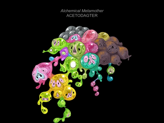mortasheen/collab/acetodagter screenshot