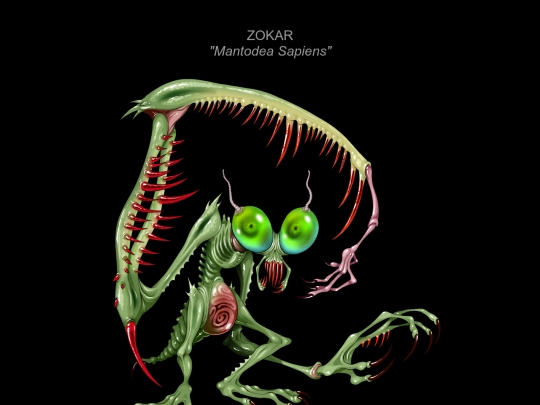 mortasheen/zokar screenshot