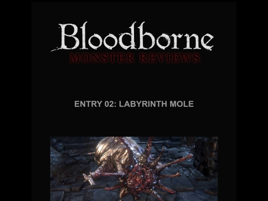 souls/bb02-labyrinthmole screenshot