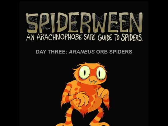 spiders/spiders03-araneus screenshot