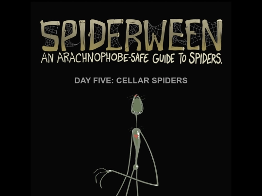 spiders/spiders05-cellar screenshot