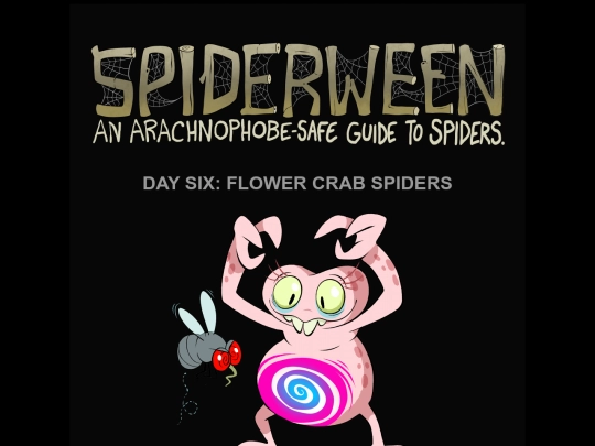spiders/spiders06-crab screenshot