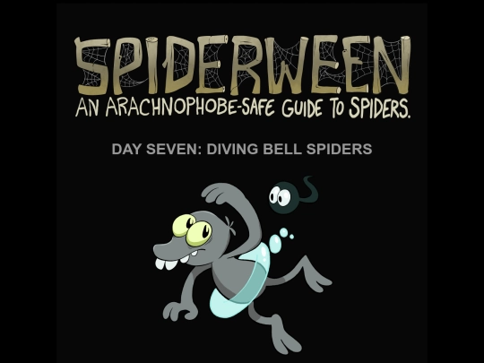 spiders/spiders07-diving screenshot