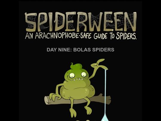 spiders/spiders09-bolas screenshot