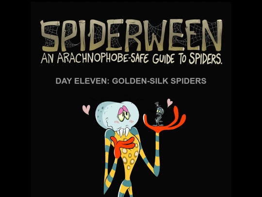 spiders/spiders11-golden screenshot