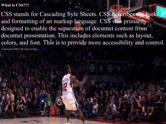 CSS screenshot