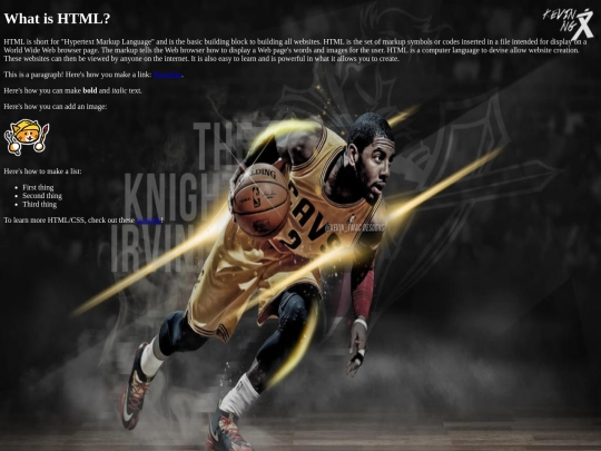 HTML screenshot