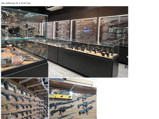 gun screenshot