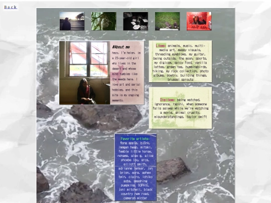 website/about screenshot