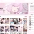 rollcake ♡ avatar