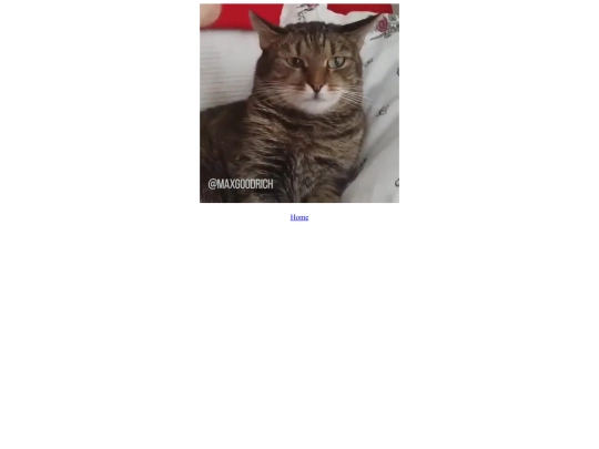 cat screenshot