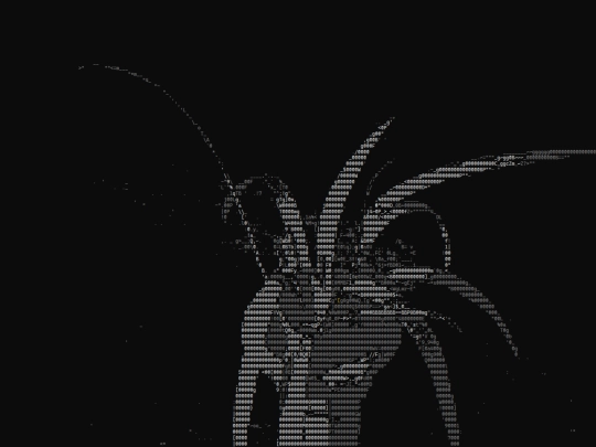 ascii screenshot
