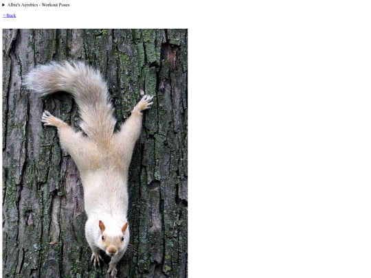 pics/workoutposes screenshot