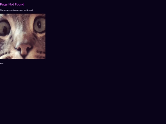 not_found screenshot