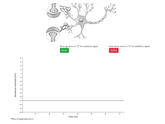 main screenshot