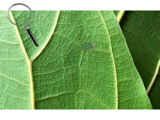 plantasia screenshot