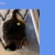 The web site of sinforejin avatar