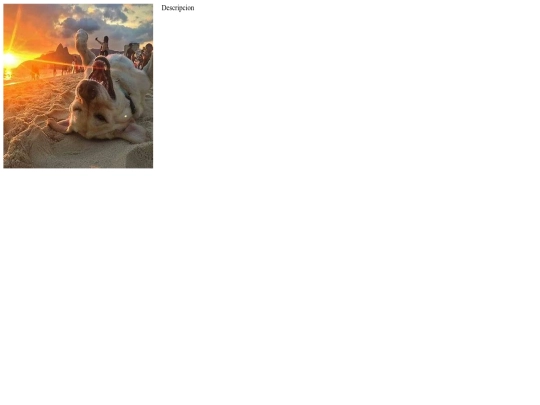pages/EJERCICIOS DE PRUEBA/carrito screenshot