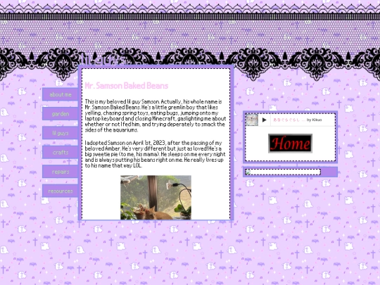 pages/pets_info/samson screenshot
