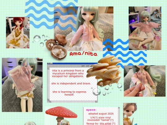 amanita screenshot