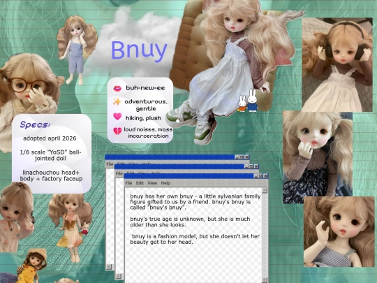 bnuy screenshot