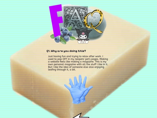 faq screenshot