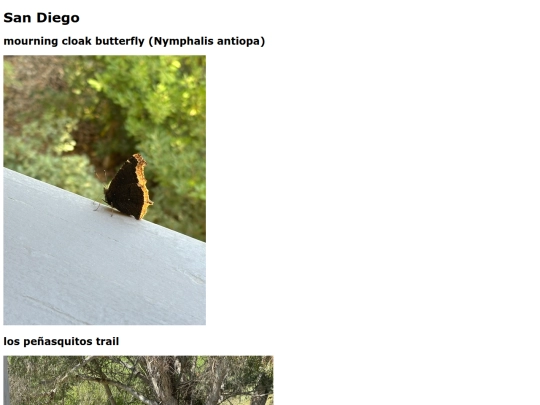 pix screenshot