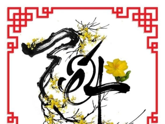 myWebsite/tetpage/cards/card06/tet06 screenshot