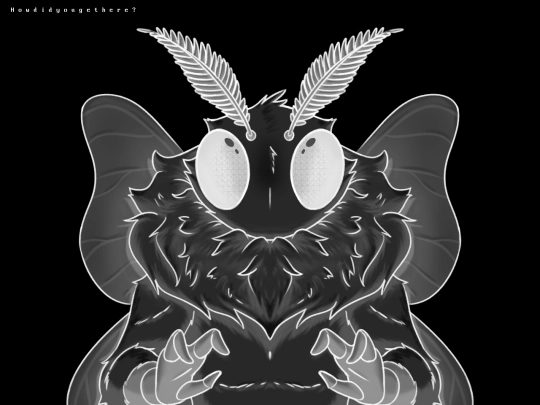 moth screenshot
