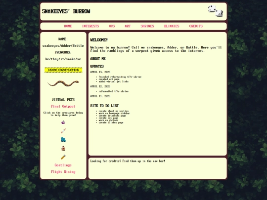 pages/home screenshot