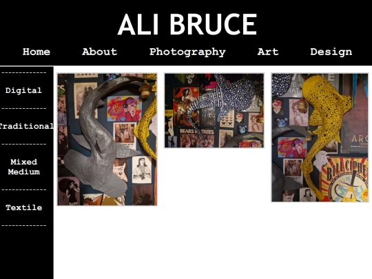 pages/art-mixed-medium screenshot