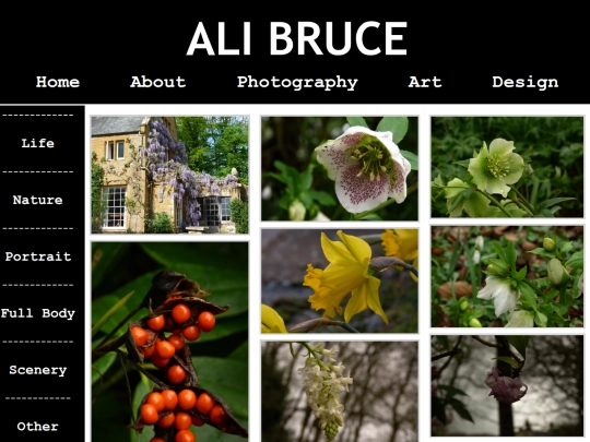 pages/photography-nature screenshot