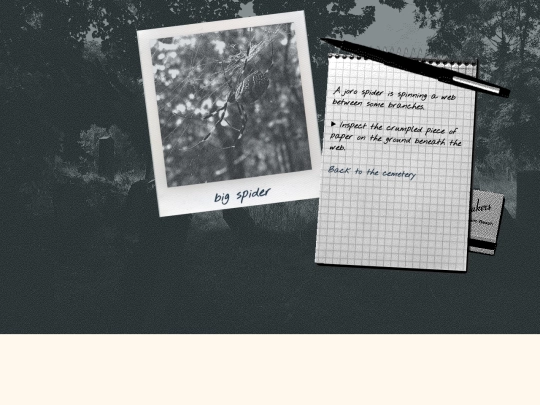 spider screenshot