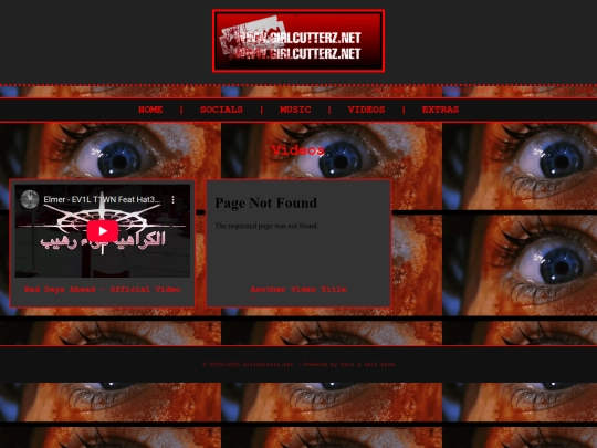videos screenshot