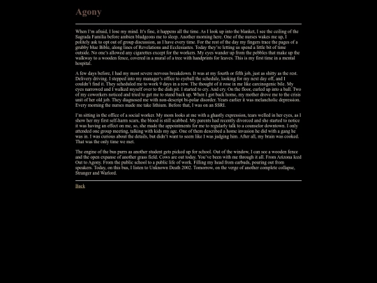 journal/agony screenshot