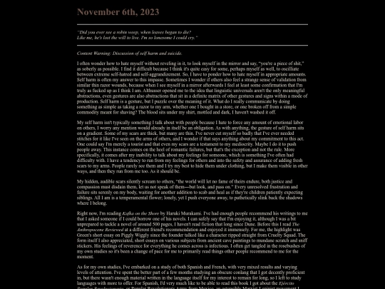 journal/november623 screenshot