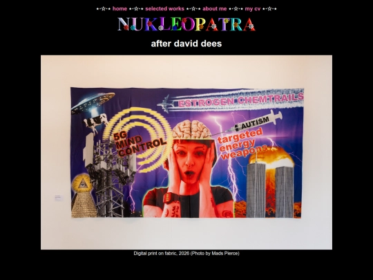 works/afterdaviddees screenshot