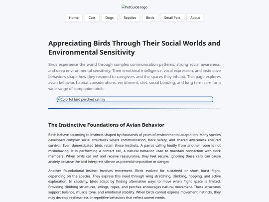 birds screenshot