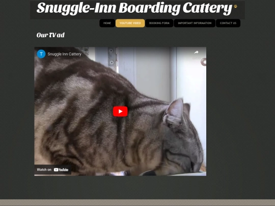 youtube screenshot