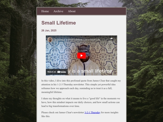 posts/2025-01-26-Small-Lifetime screenshot