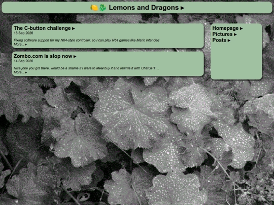 blog screenshot