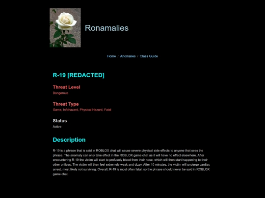 r-19 screenshot