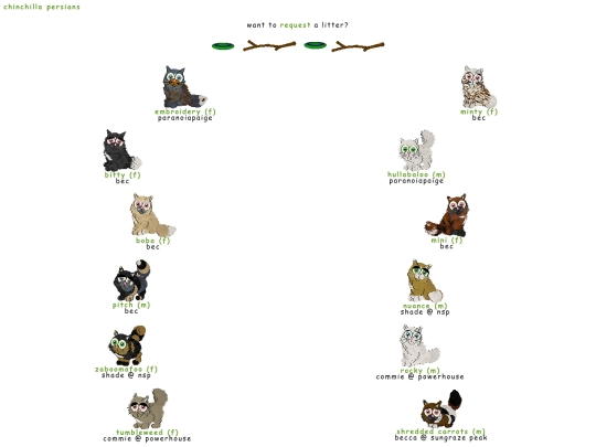 chinchis screenshot