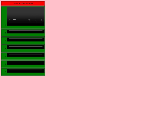 video screenshot