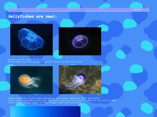 sea/jellyfishes screenshot