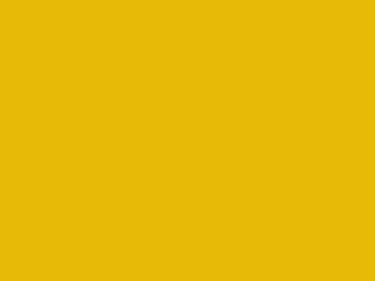 diario screenshot