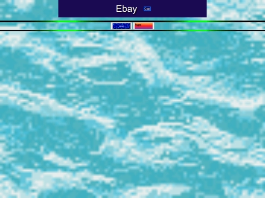 ebay screenshot