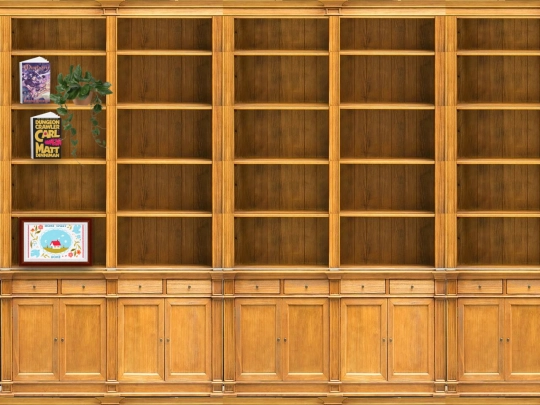 bookshelf screenshot