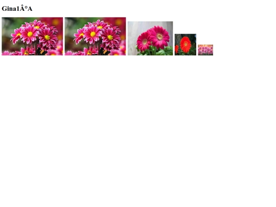imagenes screenshot